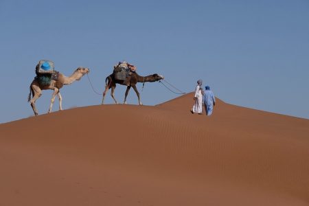 Tour 3 days camels Trekking