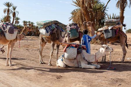 3 Days Trekking Desert Morocco