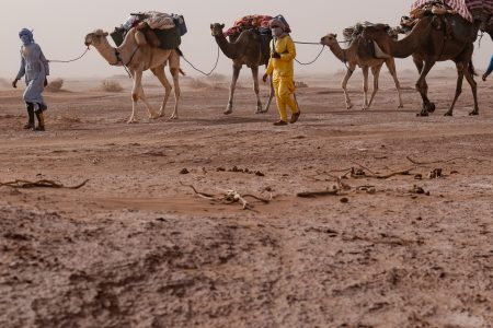 Tour 4 days Trekking by camels